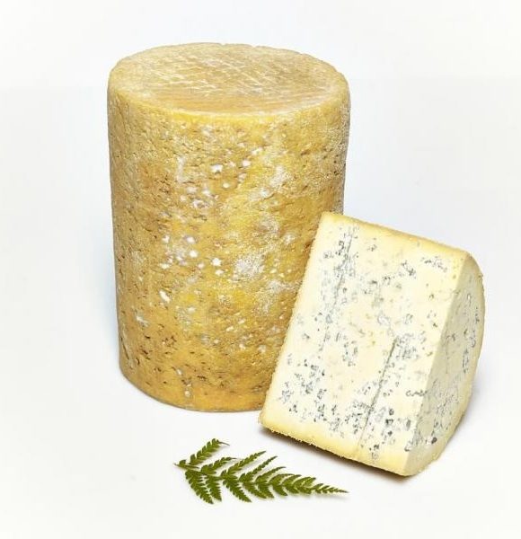 La Fourme de Montbrison, le fromage AOP made in Loire