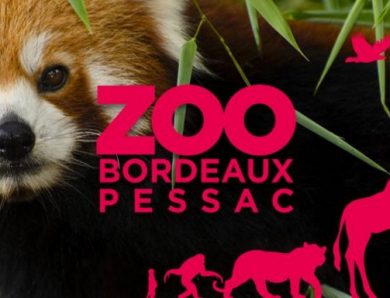 Visite au Zoo de Bordeaux-Pessac