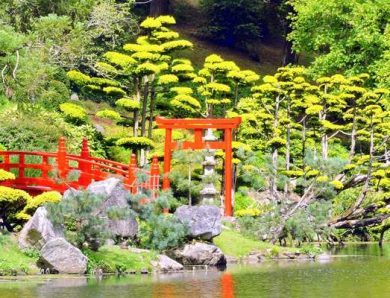 Parc Oriental de Maulévrier – Jardin Japonais (Anjou)