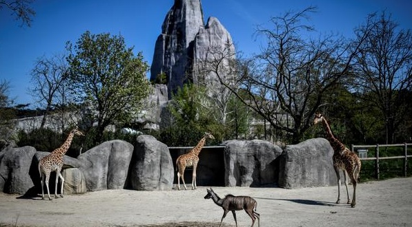 Le Parc Zoologique de Vincennes – Paris