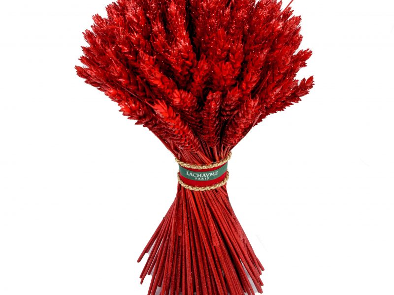 Le bouquet de blé rouge Lachaume pour la Saint-Valentin 2021
