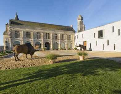 Musée de la Préhistoire du Grand Pressigny en Touraine