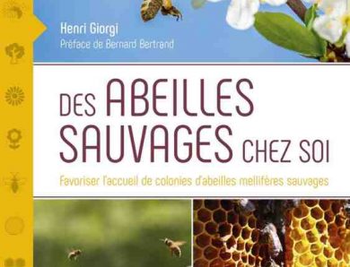 Des Abeilles Sauvages chez Soi : Favoriser l’accueil de colonies d’abeilles mellifères sauvages écrit par Henri Giorgi