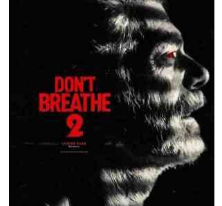 Don’t Breathe 2 réalisé par Rodo Sayagues