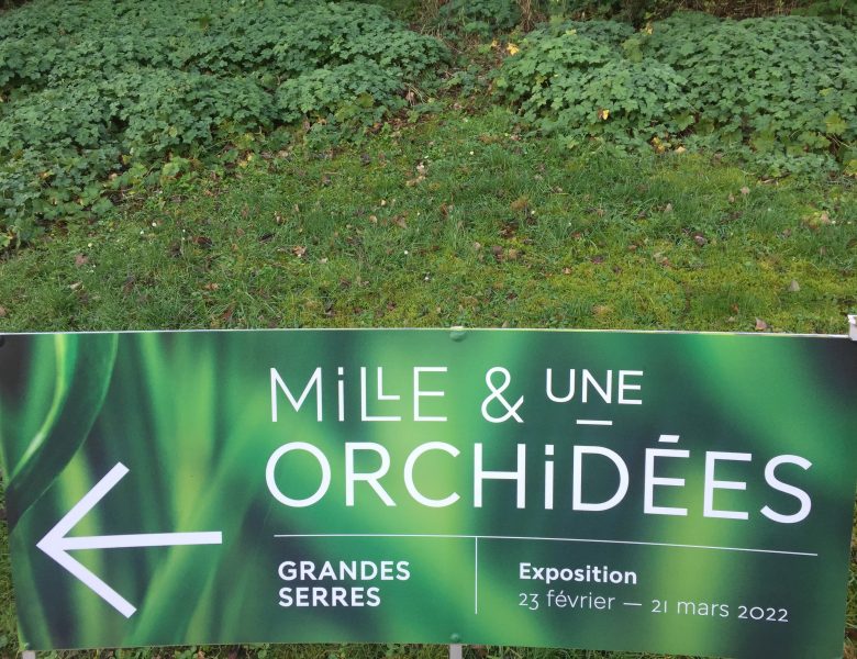 Mille & une orchidées 2022 au jardin des plantes à Paris