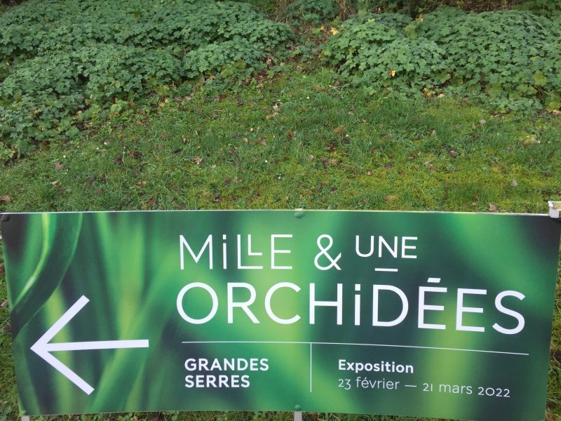 Mille & une orchidées 2022 au jardin des plantes à Paris