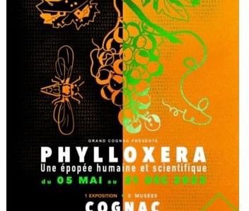 Phylloxéra : une épopée scientifique et humaine ! Une exposition, deux musées dans la ville de Cognac (Charente)
