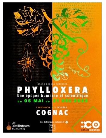 Phylloxéra : une épopée scientifique et humaine ! Une exposition, deux musées dans la ville de Cognac (Charente)
