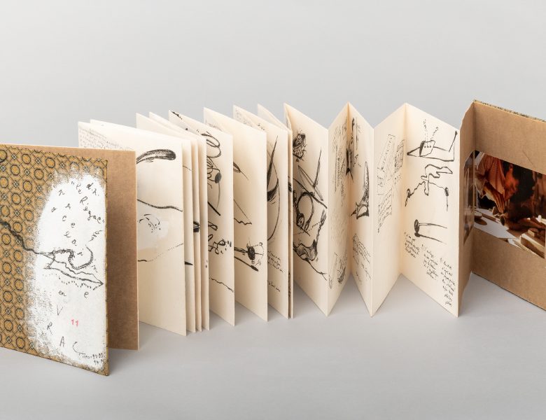 Les carnets de Daniel Nadaud, les dessous de la Gricole, exposition à la BNF (Paris)