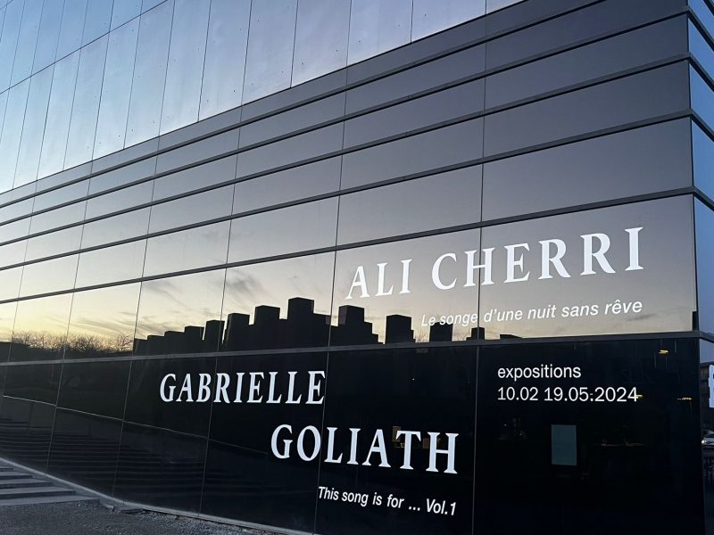 Le Songe d’une nuit sans rêve – Ali Cherri et This song is for… Vol 1 – Gabrielle Goliath à la FRAC de Bretagne